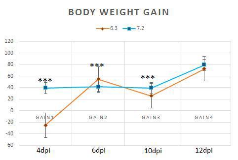 Body weight gain of birds infected with E. maxima and C. Perfringens in ADOL line 6.3 and 7.2 at 4, 6, 10, 12dpi (P <0.001).