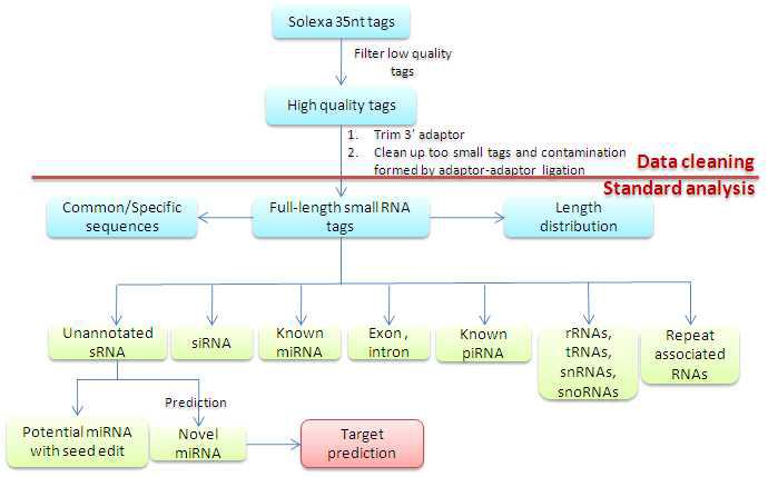 Data analysis process.