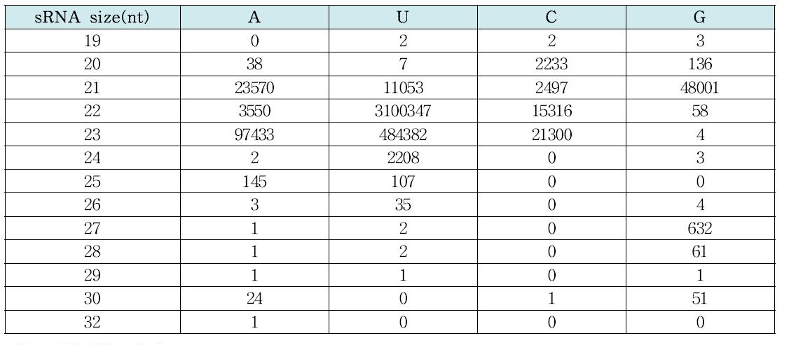 miRNA first nucleotide counts in spleen of line 6.3(R) according to the sRNA size(nt).