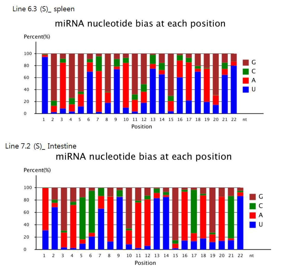 miRNA nucleotide bias at each position in the line 6.3 of spleen and line 7.2 of intestine.