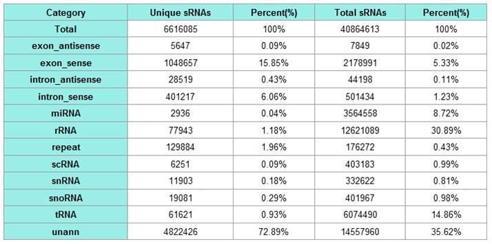 Distribution of small RNA among different categories (spleen line 6.3(R)).