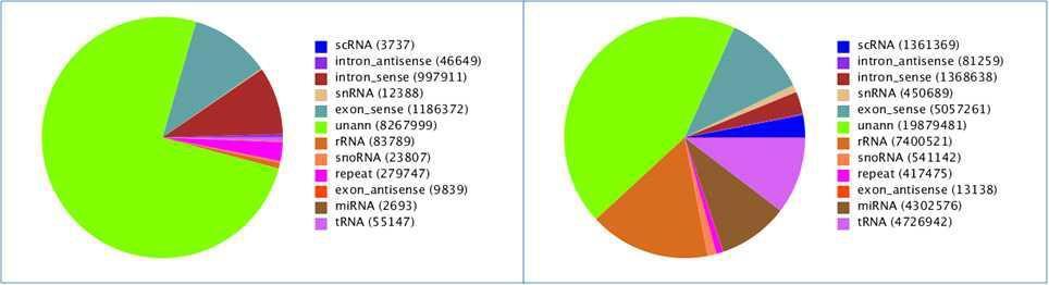 Pie chart for annotation_intesint of line 7.2(S): unique (left) and total sRNA(right).