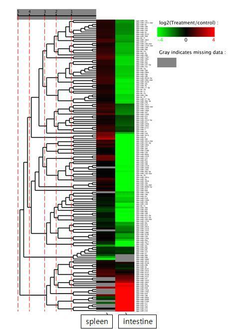 Cluster miRNA with similar expression pattern.