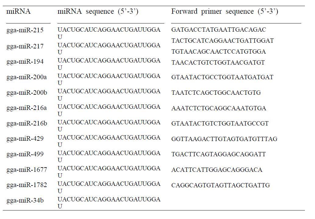 List of miRNA primers for quantitative real-time PCR