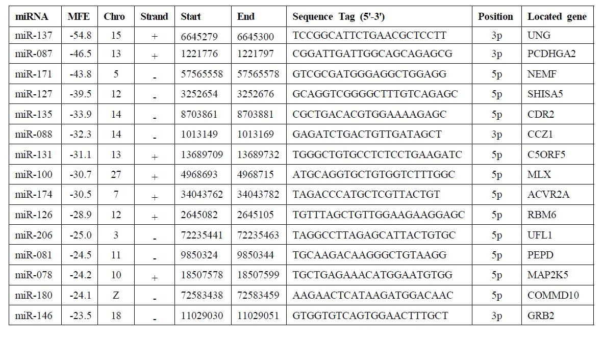 Intronic novel miRNA candidates