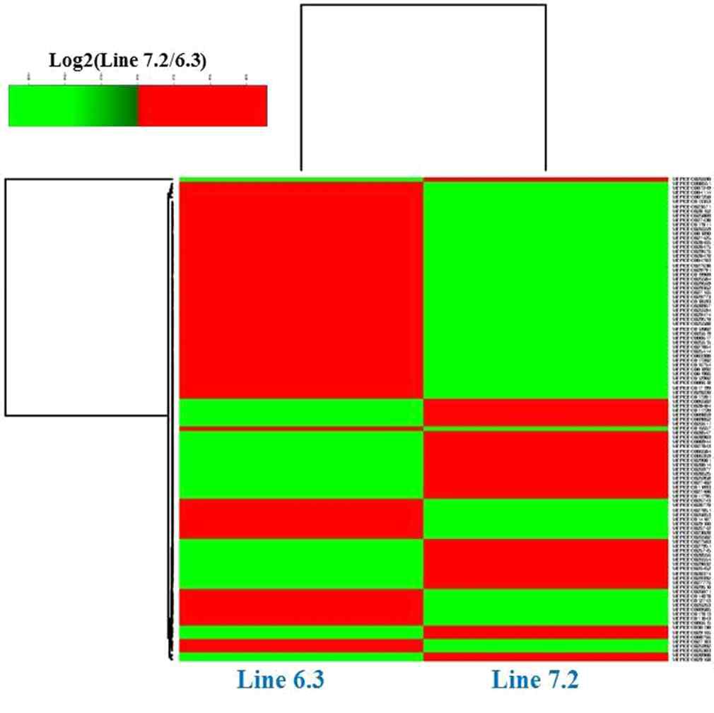 Differential mRNA expression in spleen.