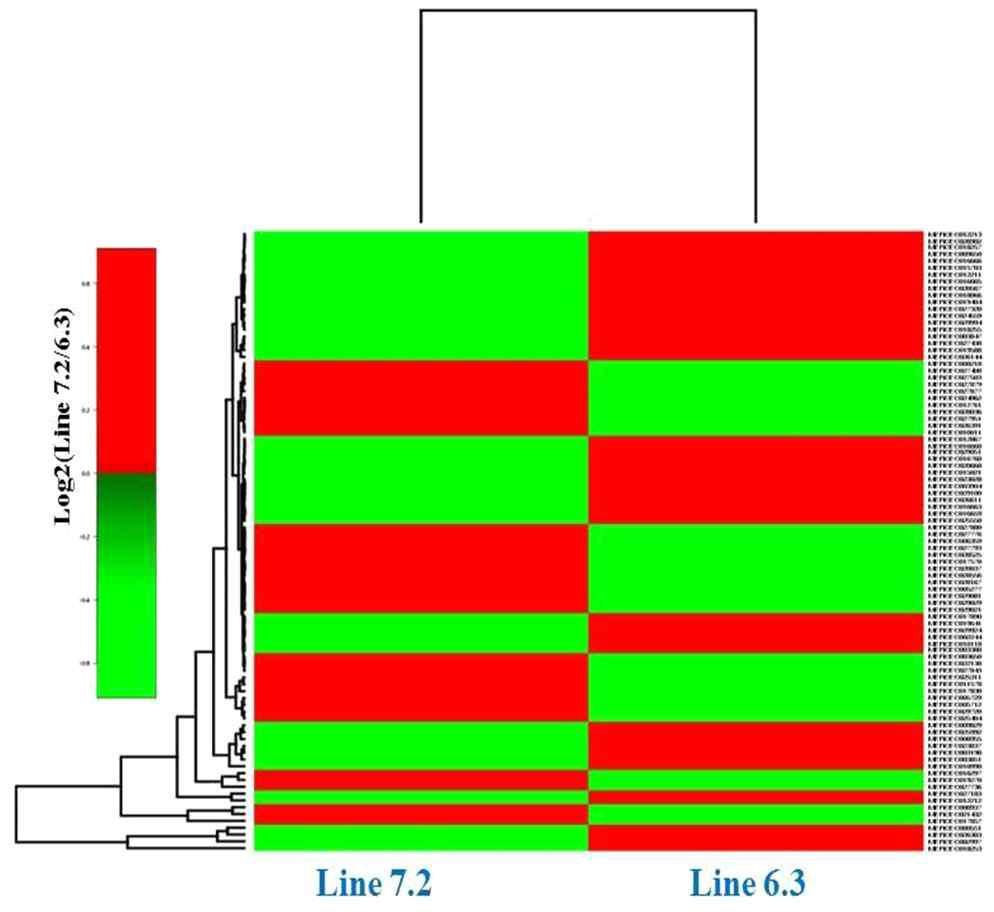 Differential expression in mRNA in IELs.