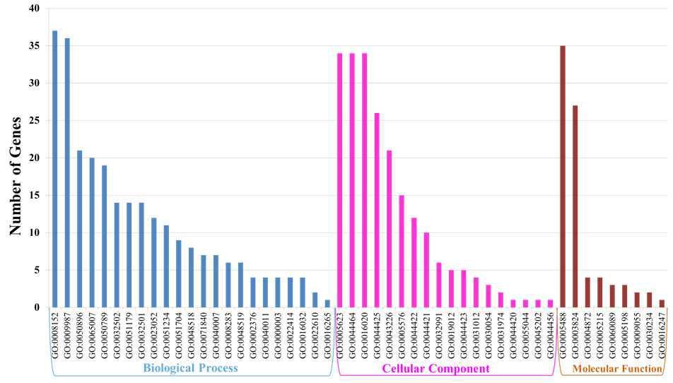 Gene ontology (GO) enrichment in IELs of resistant line 6.3 vs. susceptible line 7.2 (S0003 vs. S0004).