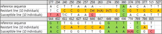 Novel gene expression pattern between two ADOL lines.