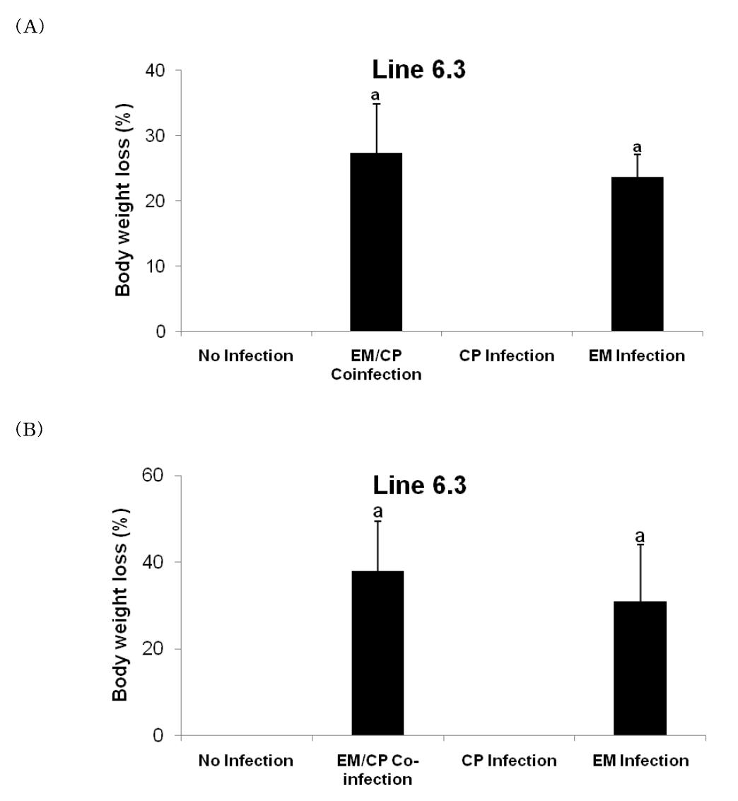 Body weight loss of birds infected with E. maxima and/or CP