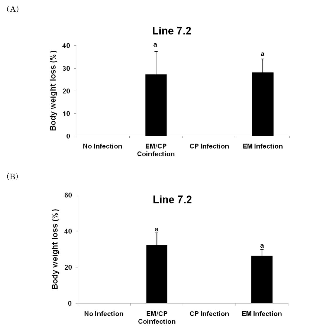 Body weight loss of birds infected with E. maxima and/or CP.