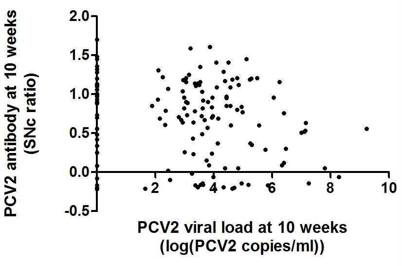 10주령 자돈의 혈액내 PCV2증식수준 및 PCV2항체 수준