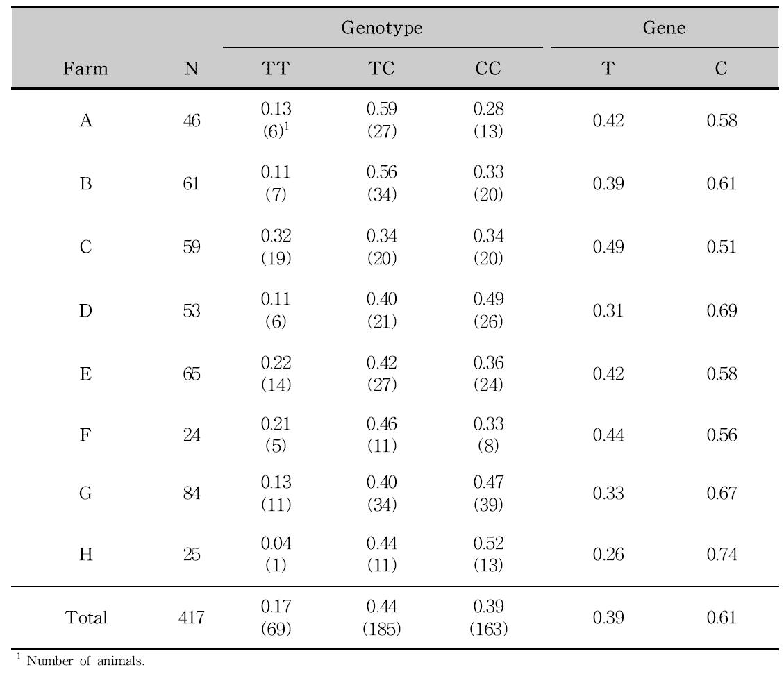 돼지 RGS16 유전자의 SNP8에 대한 유전자형 및 대립유전자 빈도