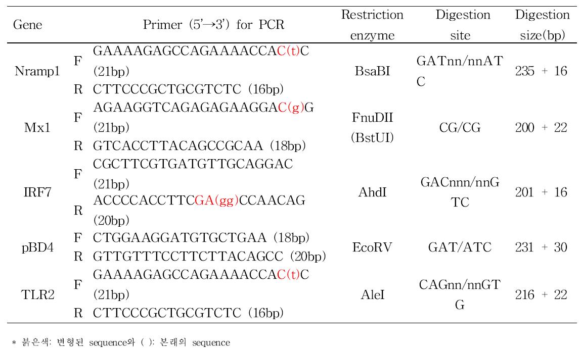 면역조절유전자 증폭 primer 및 제한효소 작용위치