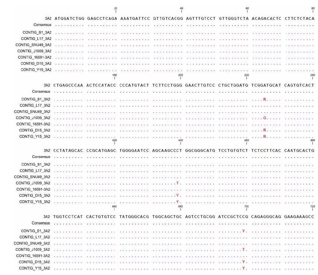 돼지 후각수용체 유전자 OR3A2 에 대한 유전자형 다형성 분석결과. 버크셔, 한국재래돼지, 듀록, 요크셔 각 4두에 대하여 OR3A2 증폭후 염기서열 분석을 실시한 결과.
