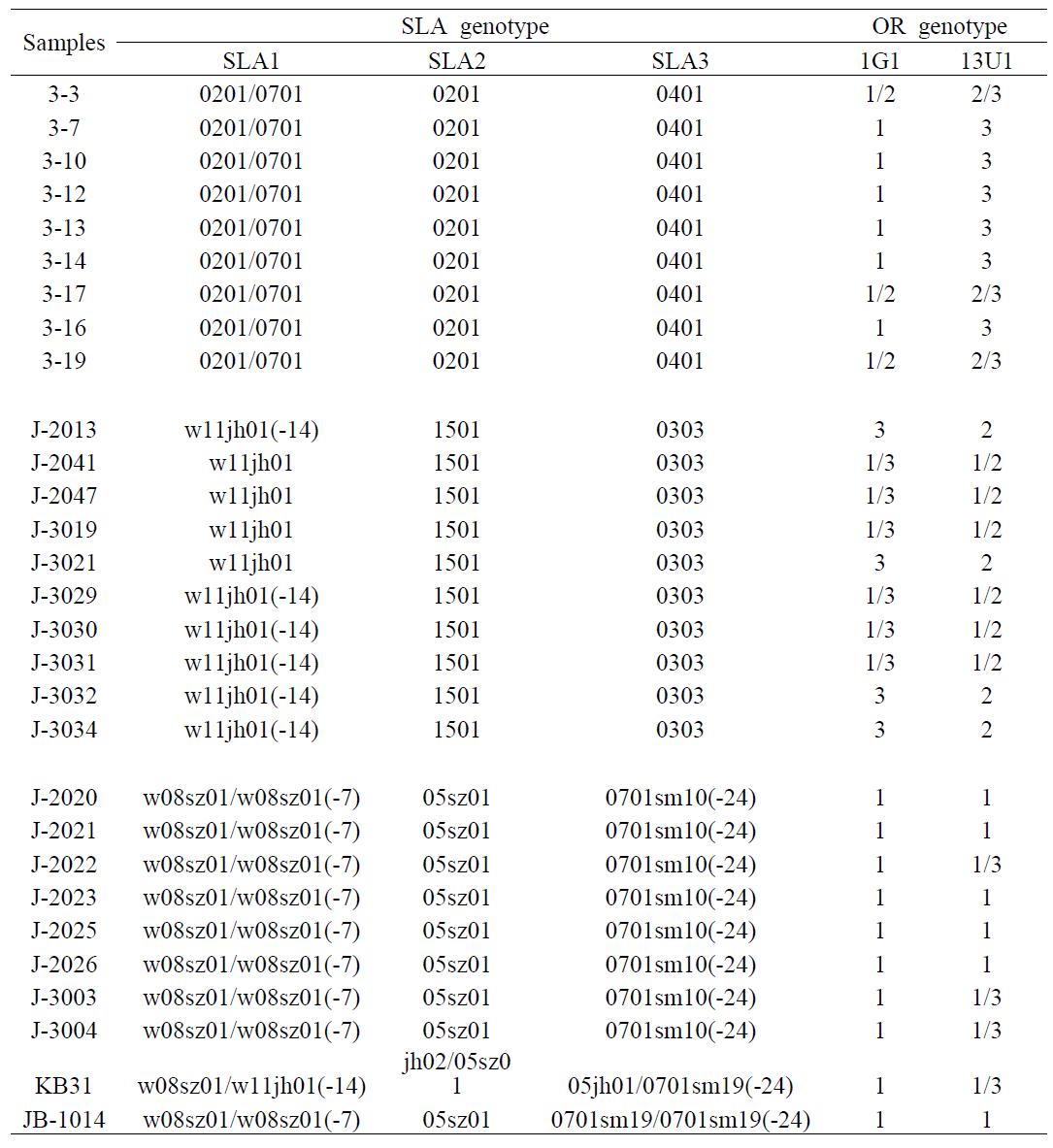 SLA 유전자형과 OR 유전자형간의 연관성 분석 결과