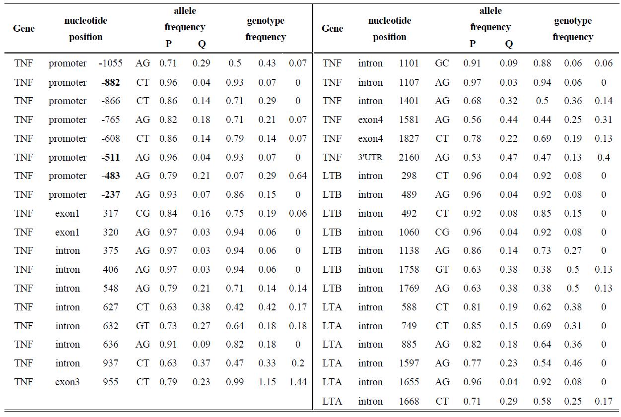 TNF, LTA, LTB의 gene polymorphism and allele frequency