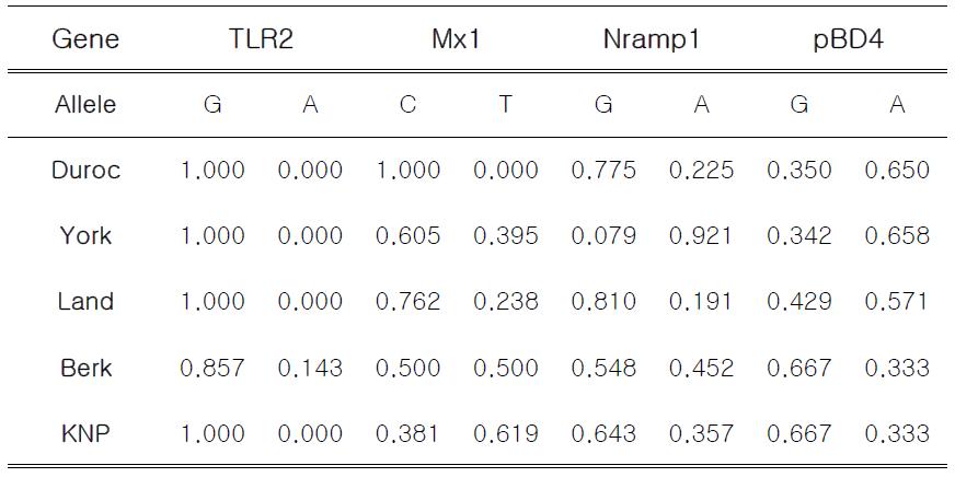 돼지 품종별 Mx1, Nramp1, pDB4, TLR 대립유전자 빈도 분석