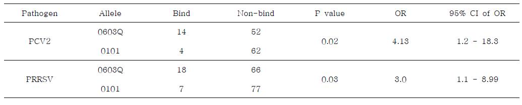 대립유전자 SLA-DRB1*0603Q 와 0101 간의 PCV2, PRRSV 항원특이적 결합능력 비교