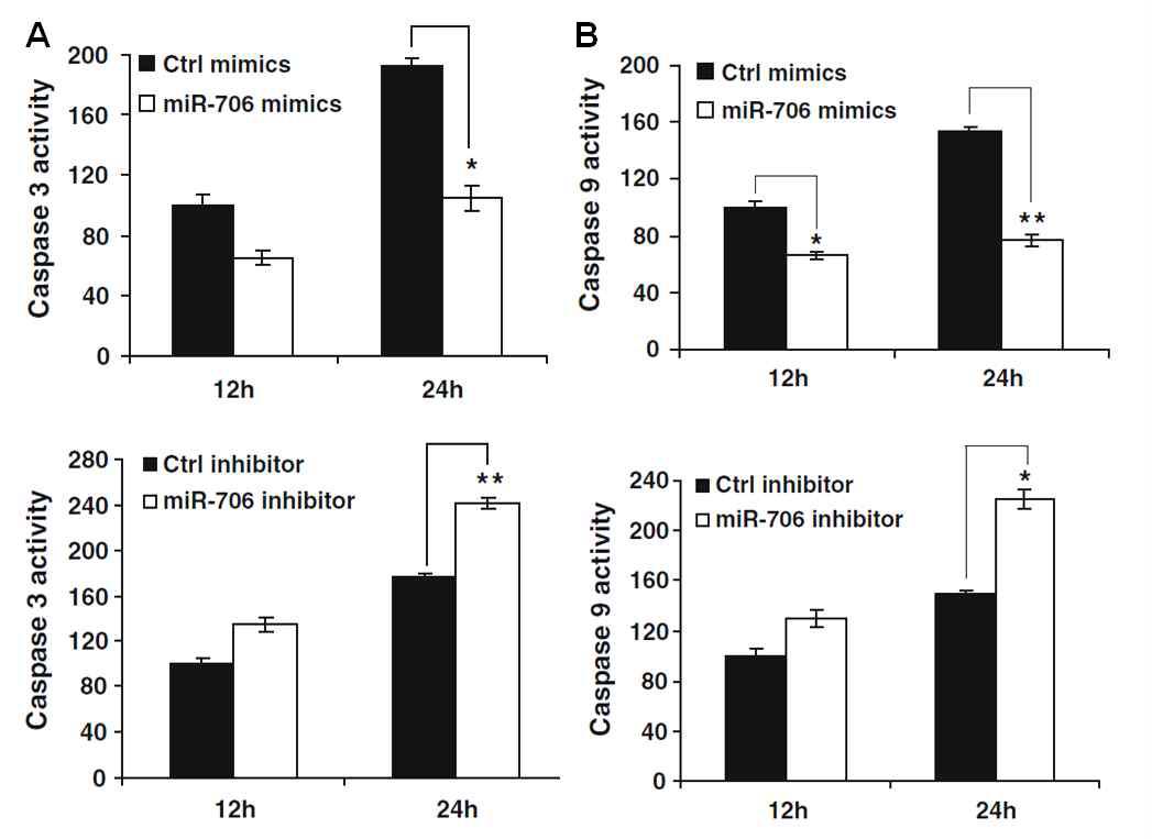 VSV가 감염된 세포에서 마이크로RNA 발현조절에 따른 세포사멸인자 Caspase-3 (A), Caspase-9 (B)의 발현양 변화