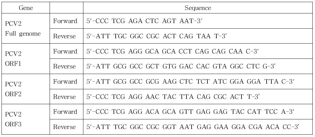 써코바이러스 2형(PCV2)의 full genome과 ORF1, ORF2, ORF3의 cDNA cloning에 사용되어진 PCR의 primer set.