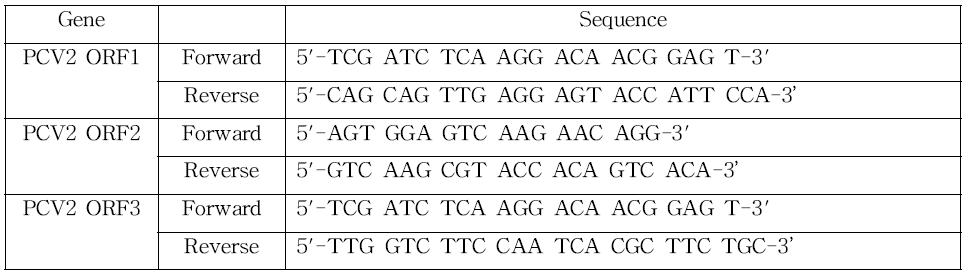 써코바이러스 2형(PCV2)의 RT-PCR에 사용되어진 PCR의 primer set.