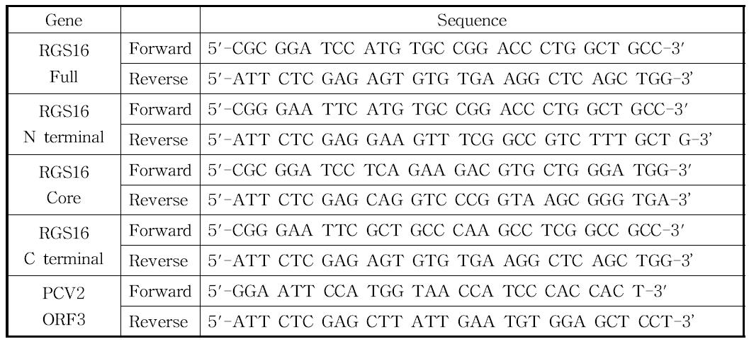 써코바이러스 2형(PCV2)의 ORF3과 돼지 RGS16의 domain별 cDNA cloning에 사용되어진 PCR의 primer set.