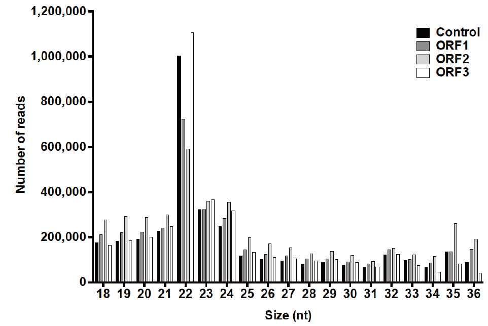 High-throughput sequencing을 통해 분석된 18-nt 이상의 길이를 지닌 clean read의 length distribution