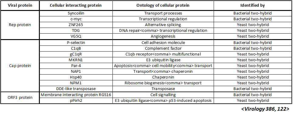 PCV2 ORF들과의 interaction이 확인된 단백질
