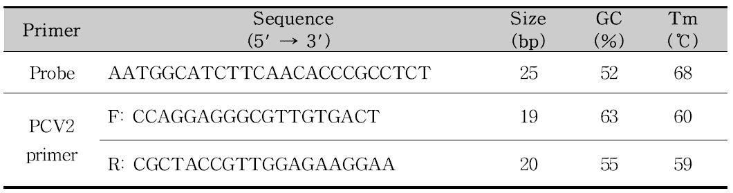 혈액내 PCV2정량에 사용된 primer 정보