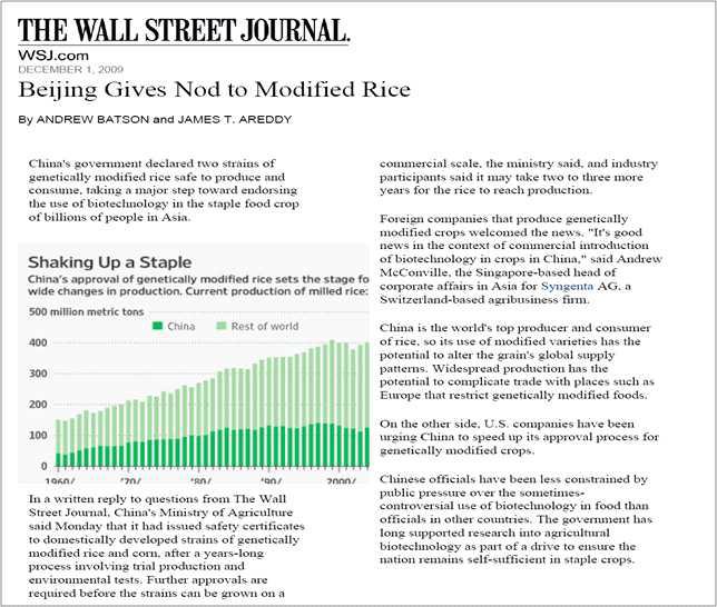 중국 GM쌀 상업적 생산 최초 승인 (2009)