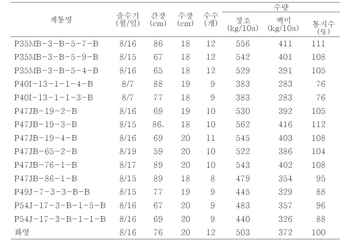 ’11년도 기능성 우량 계통의 생산력검정 결과