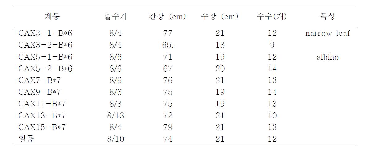 고칼슘함량(CAX) 계통의 농업적 생육특성