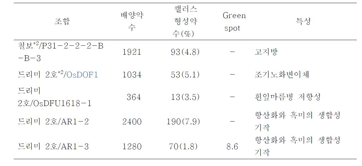 조기 고정 세대 육성을 위한 약배양