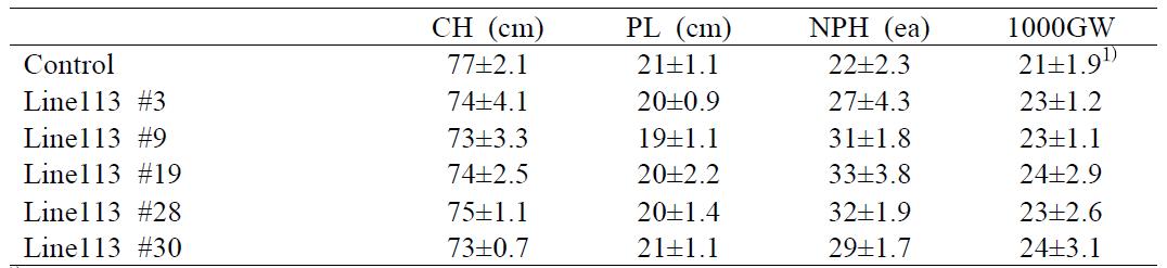 The agronomic traits of AvMaSP gene overexpressing transgenic rice line113relative to control plant