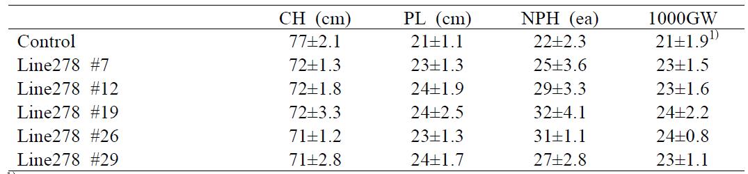 The agronomic traits of AvMaSP gene overexpressing transgenic rice line278relative to control plant