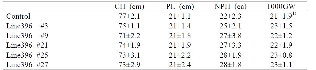 The agronomic traits of AvMaSP gene overexpressing transgenic rice line396relative to control plant