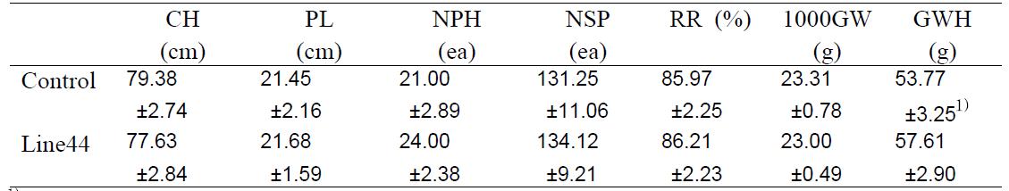 The agronomic traits of AvMaSP gene overexpressing transgenic rice line44relative to control plant