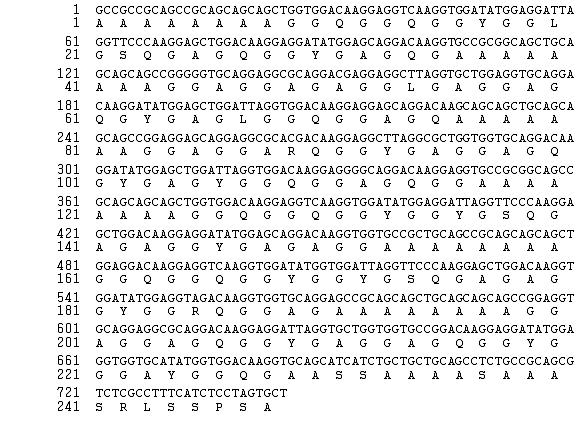 The nucleotide and deduced amino acid sequences of AvMaSp cDNA