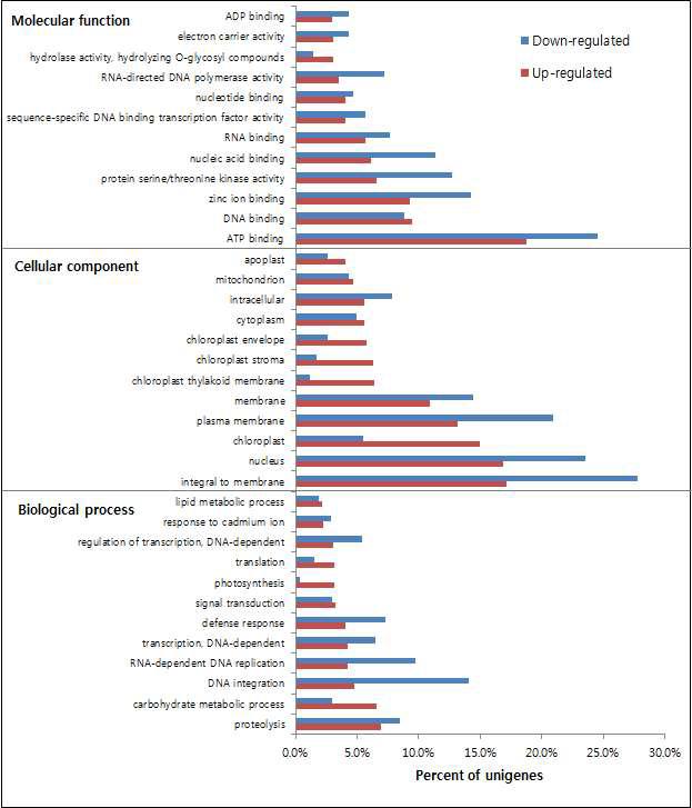 Comparison of the gene ontology (GO) classification between down- and up-regulated transcripts during fleshy taproot development.