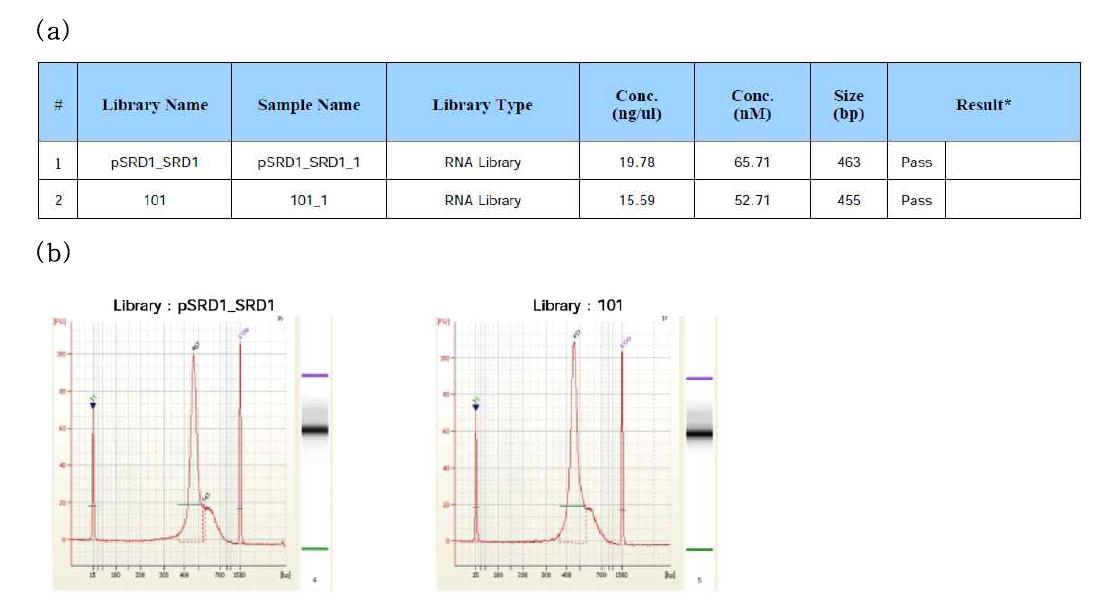 Characterization of carrot cDNA libraries. Carrot cDNA libraries were quantified using qPCR according to the Illumina qPCR Quantification Protocol Guide (a) and the size of PCR-enriched fragments were checked by running on an Agilent Technologies 2100 Bioanalyzer using a DNA 1000 chip (b).