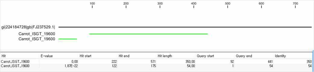 Verification of carrot transcriptome assembly using SRD1 sequence as reference.