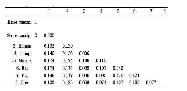 말과 타종간 DYNC1LI2 유전자의 Ka/Ks ratio 분석