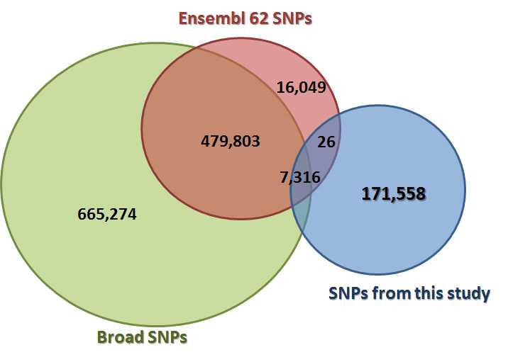 Broad Institute사의 데이터베이스 및 Ensembl SNP 데이터베이스와 비교
