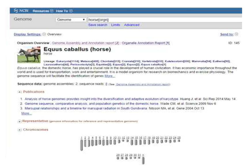 NCBI에서 제공하는 말(Equus cabllus)의 유전체 정보