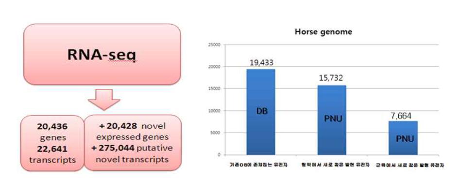 RNA-sequencing을 통한 novel gene 20,428개 발굴 및 alternative splicing form 275,044개 발굴