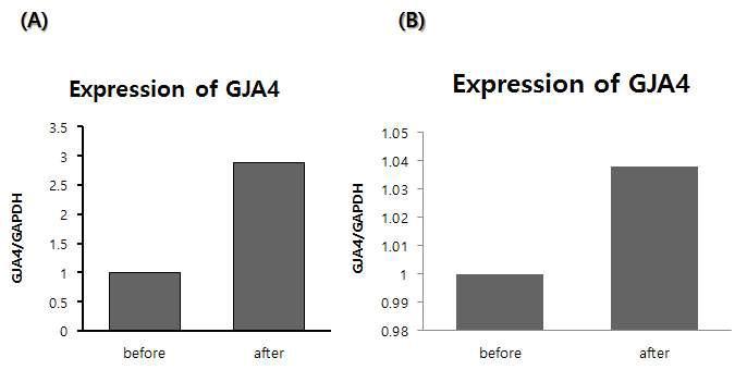 운동 전과 운동 후 발현이 차이가 나는 GJA4 유전자 검증 (A)RNA-sequencing을 통하여 도출된 ERRFI1 유전자 발현 양상, (B) GJA4 유전자의 운동 전과 후 real-time PCR 분석