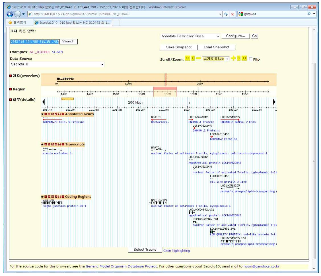 A screen shot of genome browse based on pig genome build Sscrofa 10.2