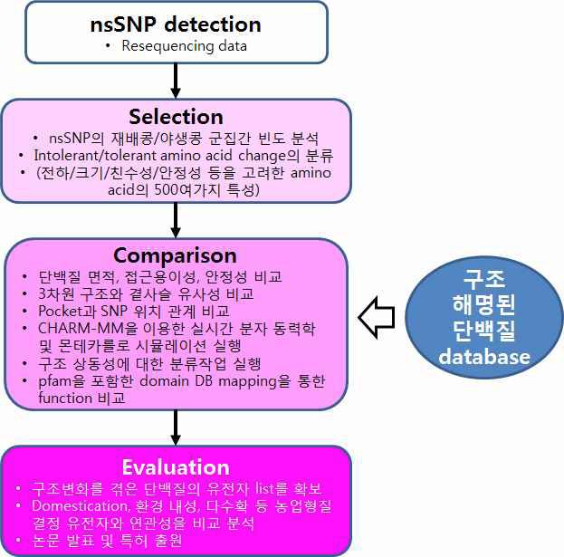 단백질 구조 변화 예측 workflow.