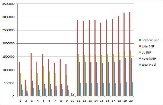 콩 reference genome sequence과 재분석 콩 genome sequence를 비교하여 획득한 total SNP, novel SNP, total indel 수의 분포. 재분석 콩의 일련번호는 표 1 참조; 1-10 번, 재배콩; 11 -20 번 야생콩. 10번 콩은 reference genome sequencing에 사용된 Williams 82.